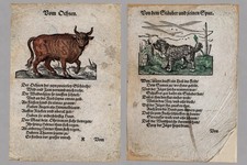 16thC Jost Amman Thierbuch