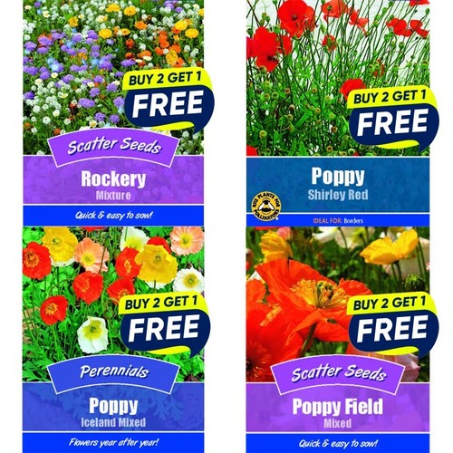 Flower seeds plants borders - seeds,