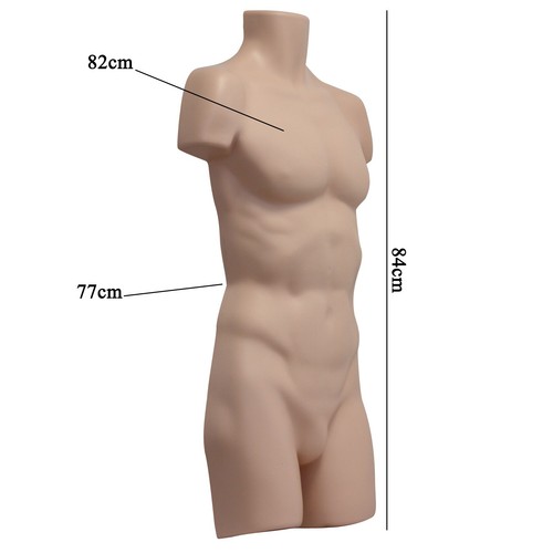 Male hollow back - male,