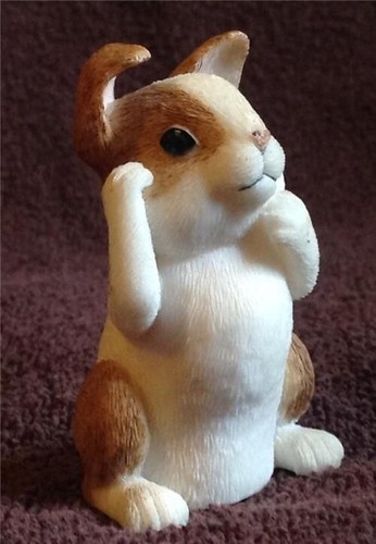 Cute bunny brown white - , rabbit