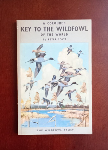 Coloured key the wildfowl - key, to