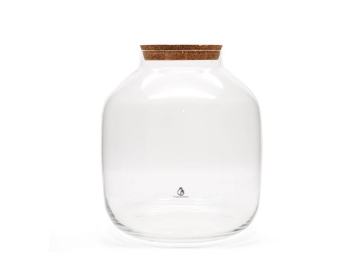 Terrarium glass with - xl,