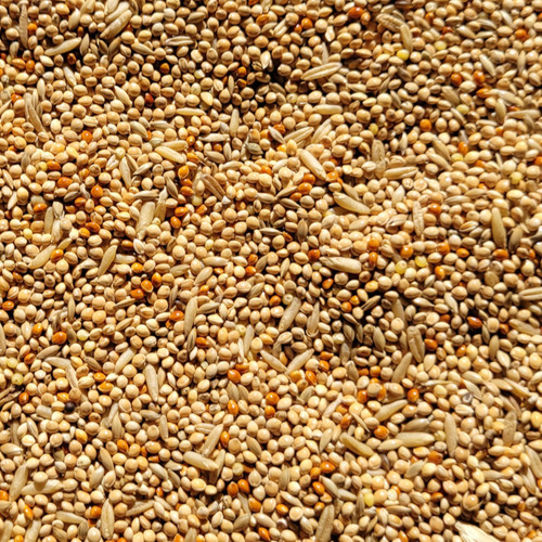 Budgie seed bartholomews - budgie,