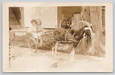 Two Girls Goat Ride Wicker