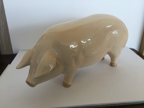 Cooper craft saddleback - craft, pig