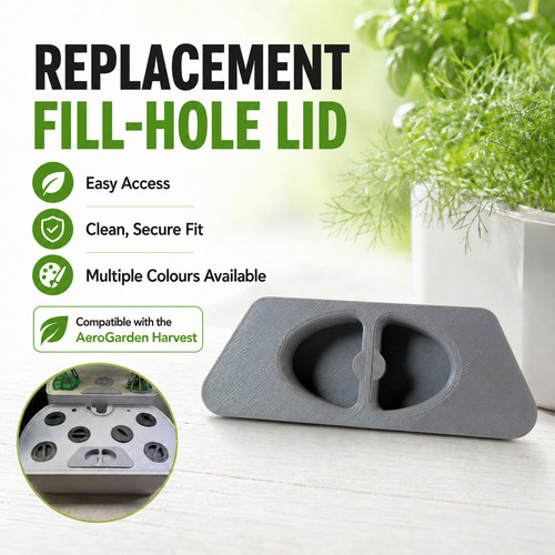 Replacement fill hole - replacement,
