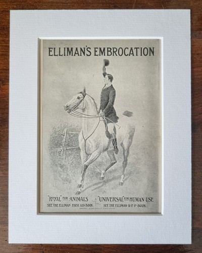 Antique mounted advert 1900 - advert,
