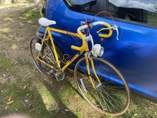 Rayleigh Banana Falcon