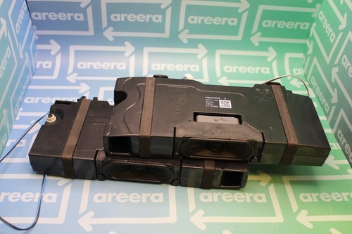 Speaker assembly pair - tv,