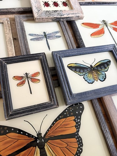 Insect reverse glass paintings - reverse,