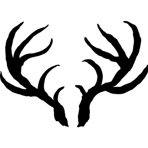 Antlers unmounted rubber - unmounted,