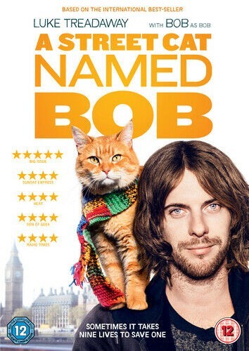 Street cat named bob - street,