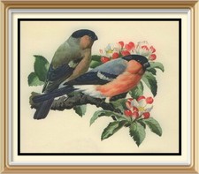 Original 1947 Vintage CHARLES