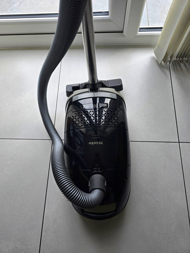Miele guard cat dog - guard,
