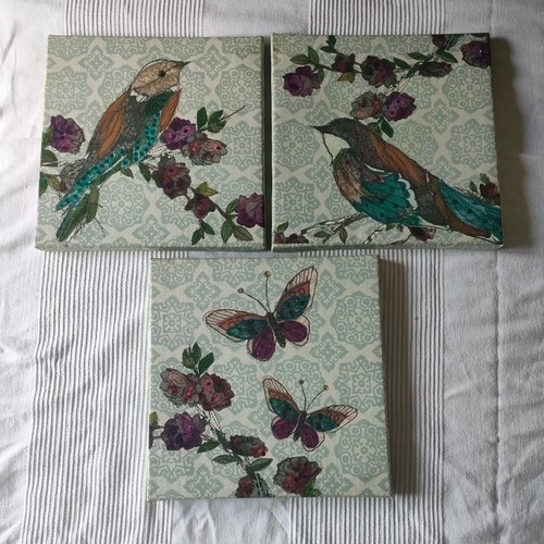 Monsoon home bird butterfly - home,