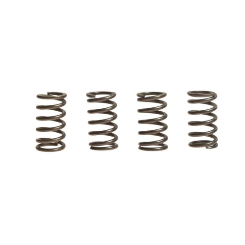 Ebc clutch springs rinf - 4, +10