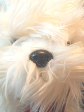 Medium Scottie Dog Soft Toy - Ty Classic  - AGE - 12x35 cm - Very Good