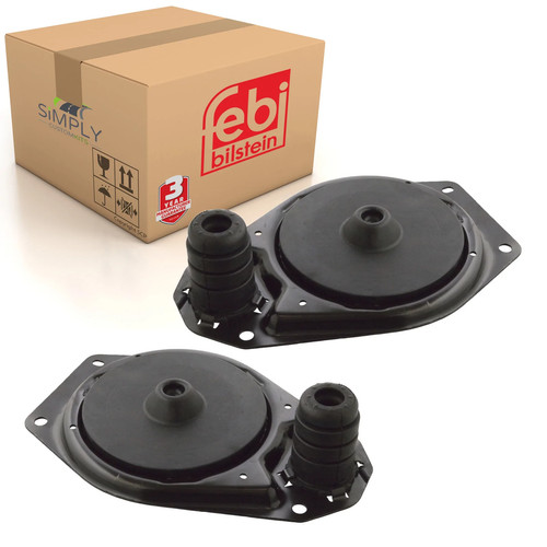 Rear upper strut - strut, mounting