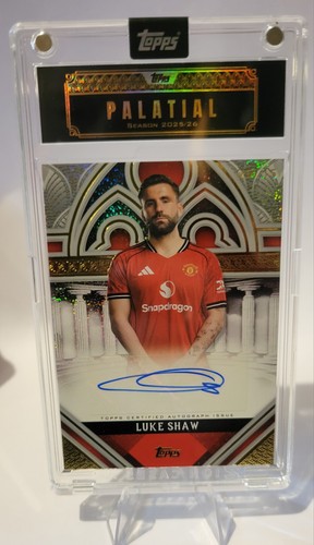 Luke shaw palatial pose - 05/15,