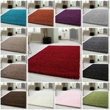  Living Room Large Shaggy Rugs