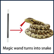 Magic Cane to Snake Magic Wand