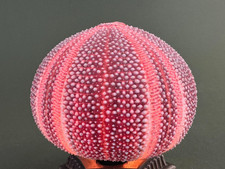 VTG MCM Mid Century Real