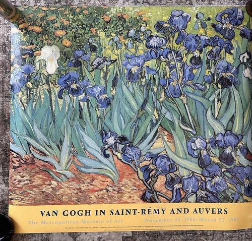 Van gogh irises metropolitan - van,