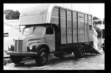 CV124 - Livestock Transport Dodge Lorry - photograph 6" x 4" 