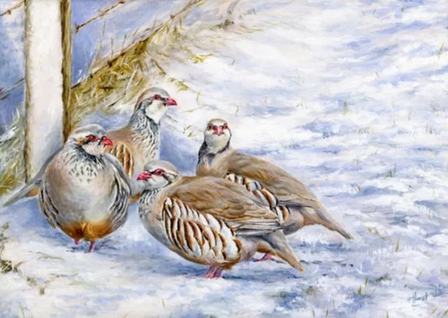 Original oil painting - oil,