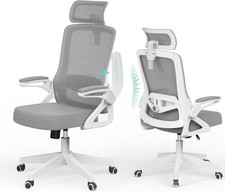 Ergonomic Office Chair, S-Shaped Mesh Desk Chairs, Adjustable Headrest & Lumbar