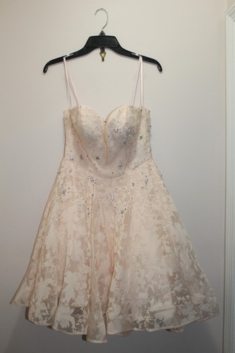 Glamour terani couture - terani,