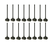 Set of 16 Intake Valves for