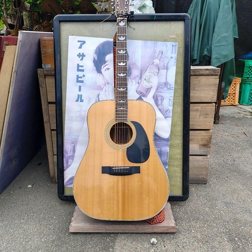 Vintage dreadnought acoustic - dreadnought,