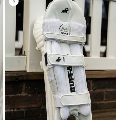Buffalo cricket batting - buffalo,