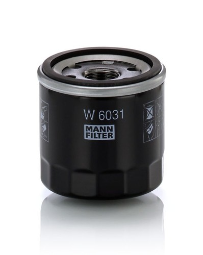Fits mann filter 6031 - fits,