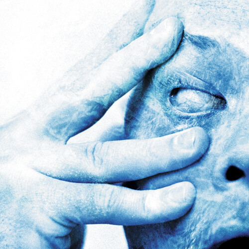 Porcupine tree in absentia - :,
