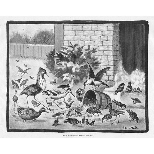 Louis wain wild birds - louis,