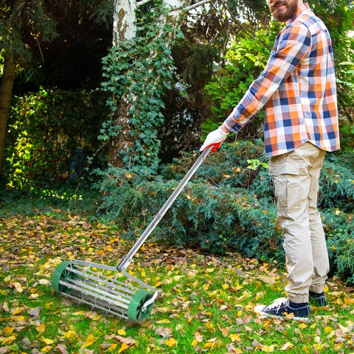 Outdoor garden lawn aerator - lawn,