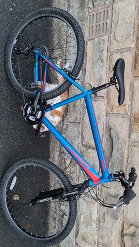 Tiger fury mens - mens, hardtail