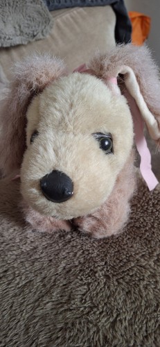 Cute little plush dog - cute, dog.