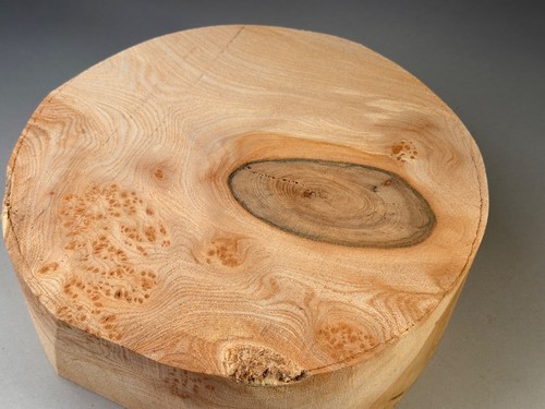 Amazing burr elm - wood, turning