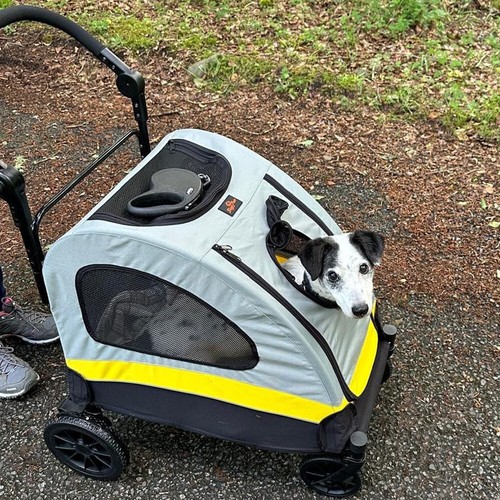 Portable dog stroller - dog,