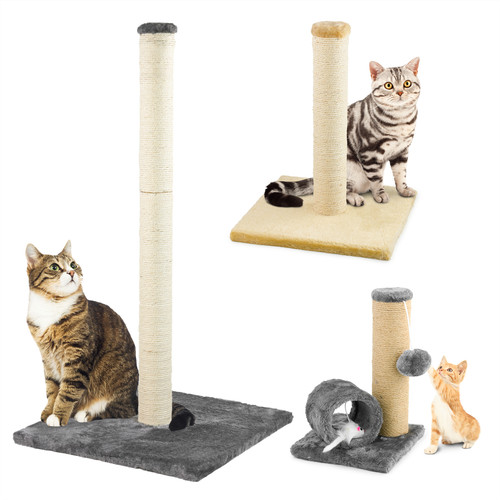 Kct cat kitten - kct,