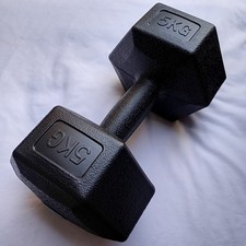 single dumbbell weight 5kg