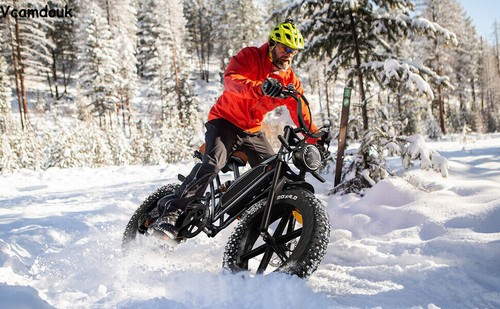 Electric bicycle mountain - bicycle,