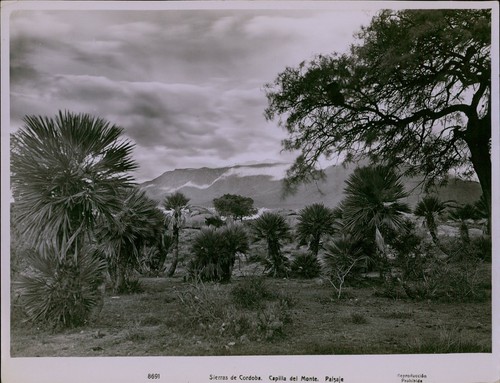 Ga47 original underwood photo - ga47,