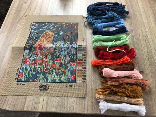 Dmc tapestry kit - dmc, a