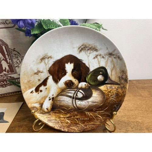 Dog tired springer - dog,