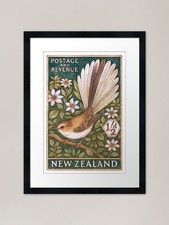 New Zealand Fantail Piwakawaka