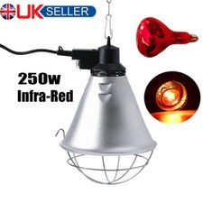 250W INFA-RED HEAT LAMP WITH